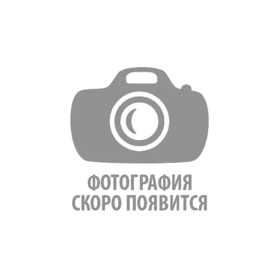 15 желтых Тюльпанов
