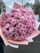 Розовое облако кустовых хризантем