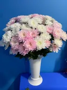 Букет пышных хризантем « клубничный зефир»