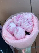 Пионы