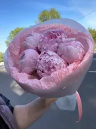 Пионы