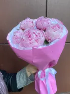 Пионы Сара Бернар 