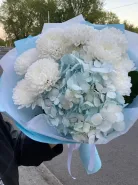 Гортензия и кустовая хризантема 💙