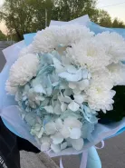 Гортензия и кустовая хризантема 💙